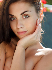 Sabrisse A - PERENNE